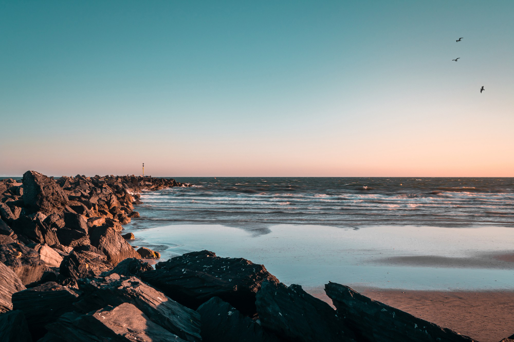 Rocks and breakwater on the coast of Dénia at sunset with the Mediterranean Sea and seagulls in flight