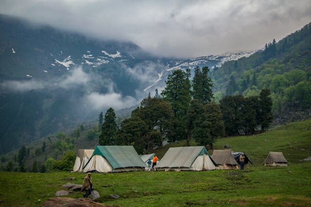 Campamento con tiendas de lona en un prado de montaña rodeado de árboles y nubes bajas, ideal para trekking, acampada en alta montaña y turismo ecológico.