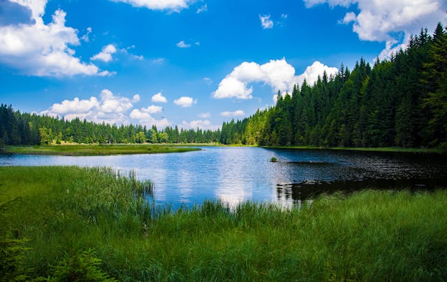 Paisaje natural con lago rodeado de bosque y cielo azul con nubes, ideal para ilustrar escapadas de camping, turismo de naturaleza o rutas de senderismo.